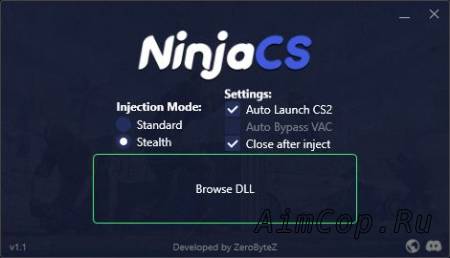 NinjaCS_v1.3
