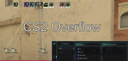 CS2 Overflow