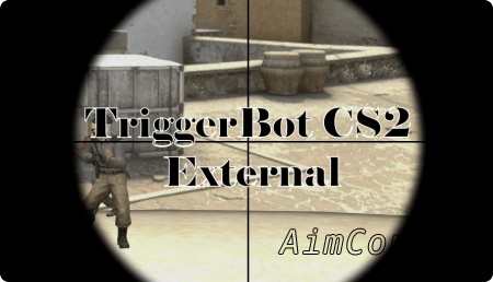 external triggerbot cs2