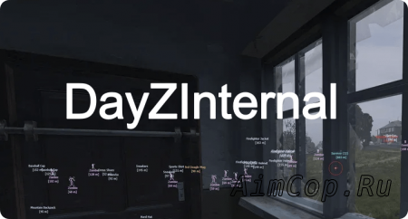 DayZInternal