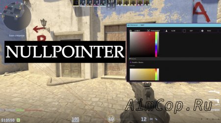 NULLPOINTER CS2